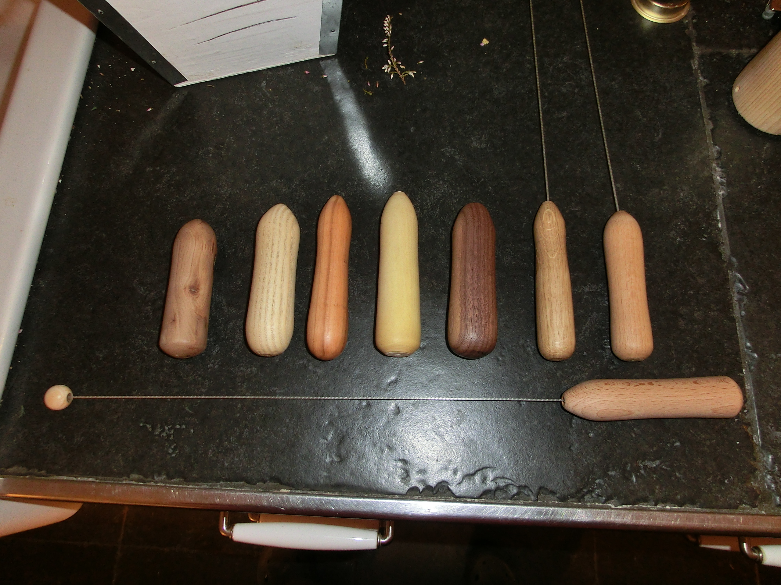 CIMG1194 von Links: Apfel, Esche, Olive, Holunder, Walnuss, Eiche, Buche - unten auch buche