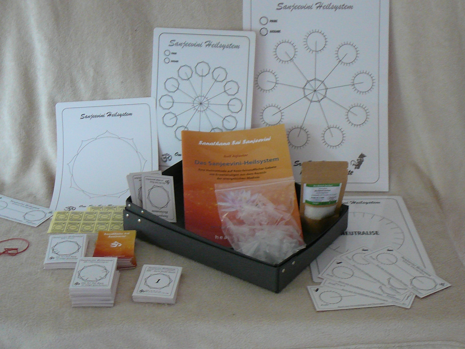 P1040418 Großes Sanjeevini Starterpaket